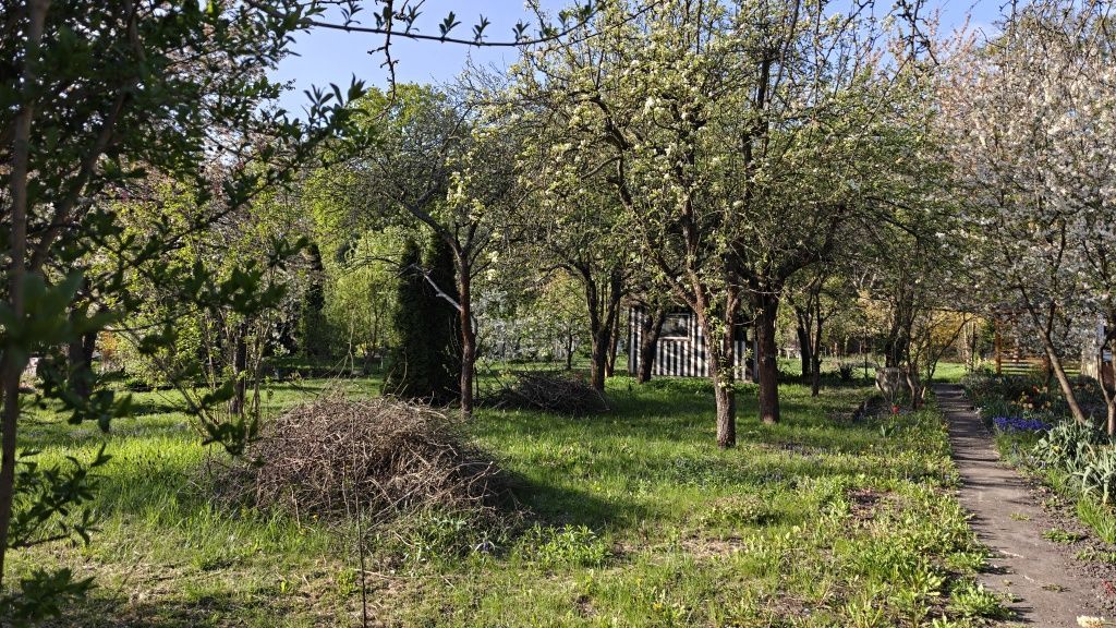 Działka rod Wrocław Krzyki. Zdjęcie 3