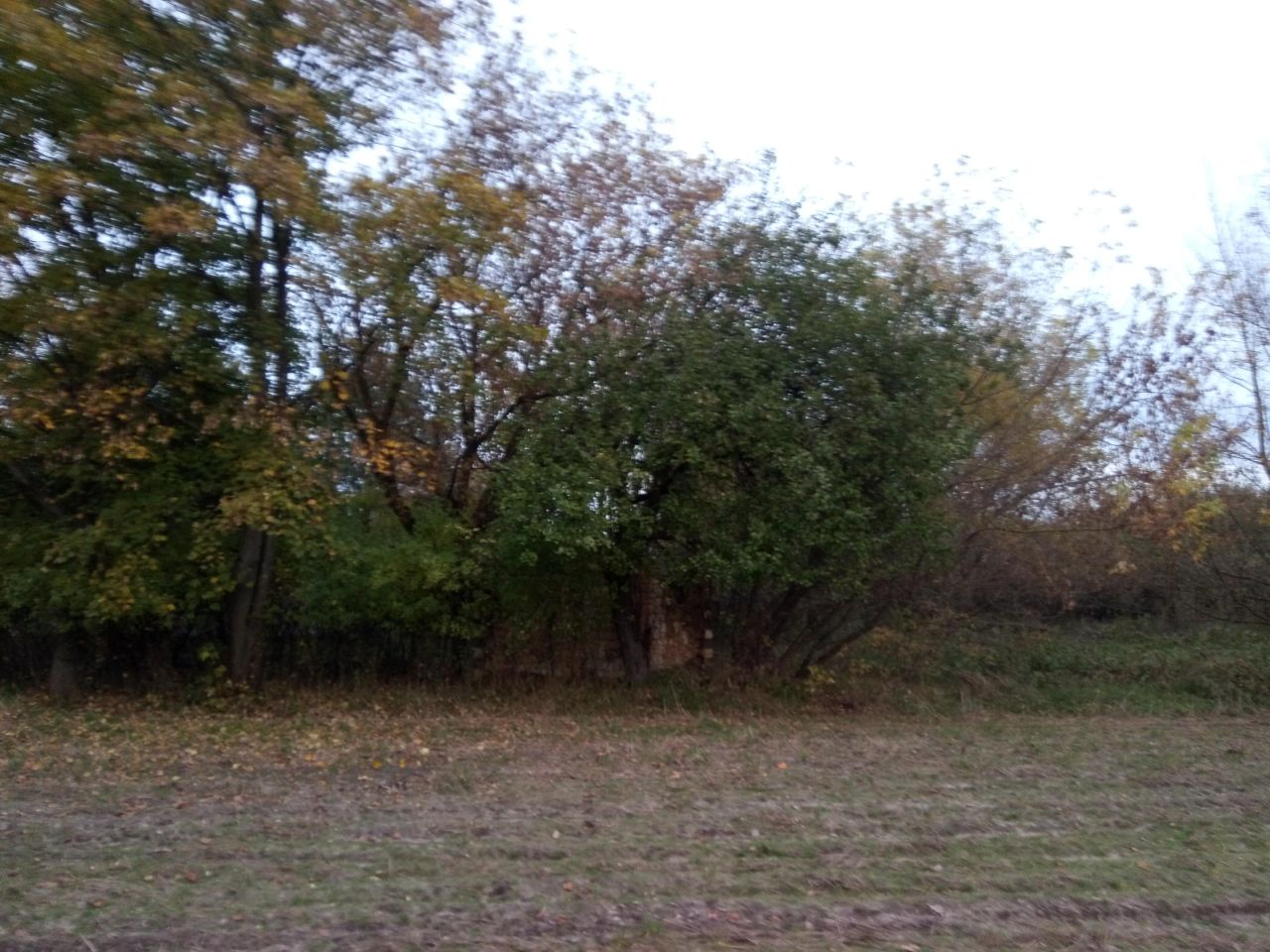 Działka rolno-budowlana Ławeczko Stare. Zdjęcie 8