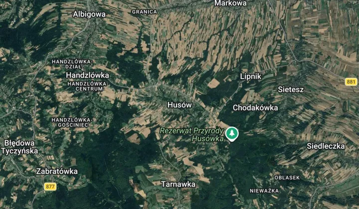 dom wolnostojący Husów