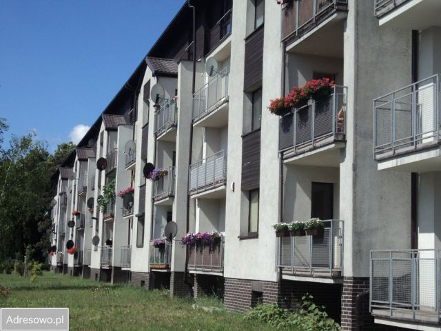 Mieszkanie 2-pokojowe Knurów, ul. Ogrodowa. Zdjęcie 1