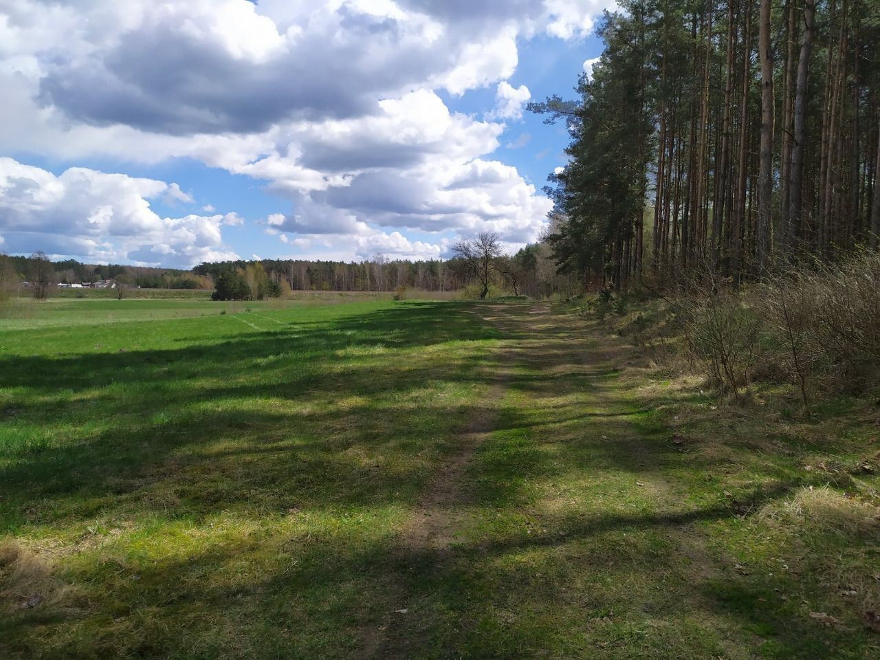 Działka budowlana Jałowiec, ul. Łąki. Zdjęcie 11