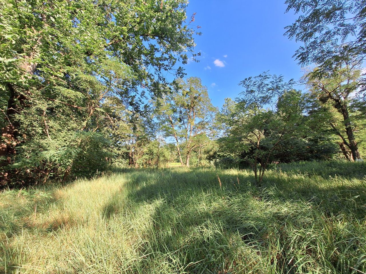 Działka rolno-budowlana Nowa Wieś-Śladów. Zdjęcie 21