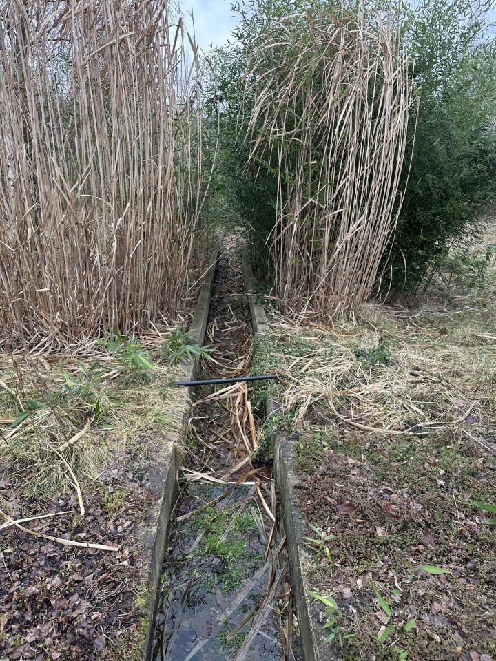 dom wolnostojący, 5 pokoi Kiełmina. Zdjęcie 37