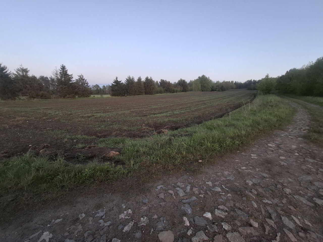 Działka rolna Kołczygłowy, ul. Fabryczna