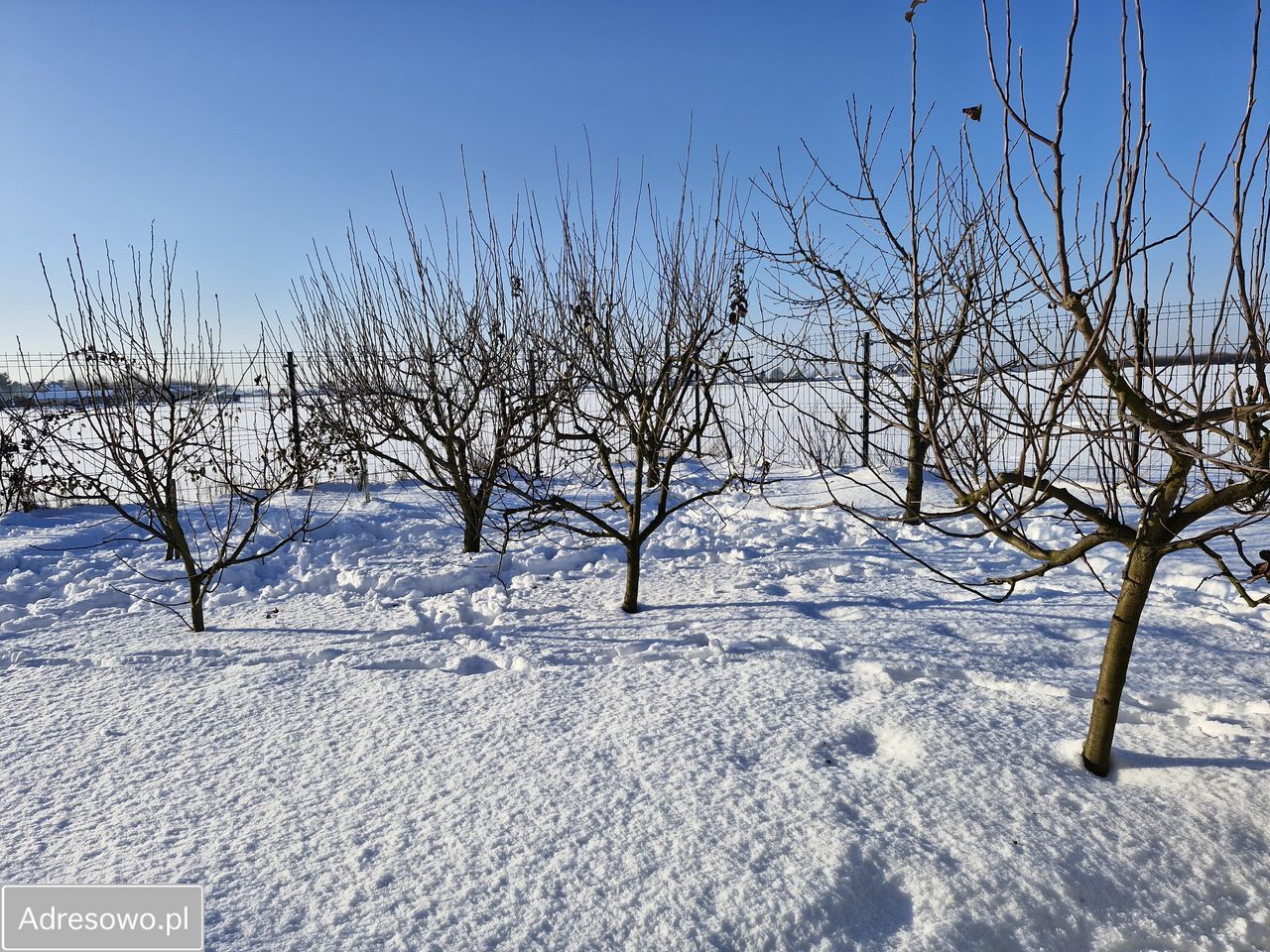 dom wolnostojący, 5 pokoi Piotrowice-Kolonia. Zdjęcie 19