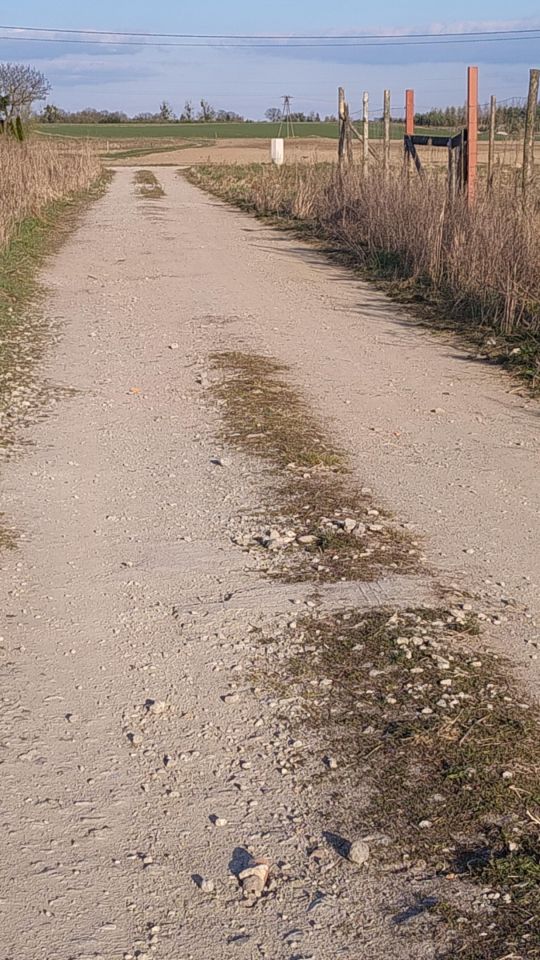 Działka budowlana Łążyn. Zdjęcie 6