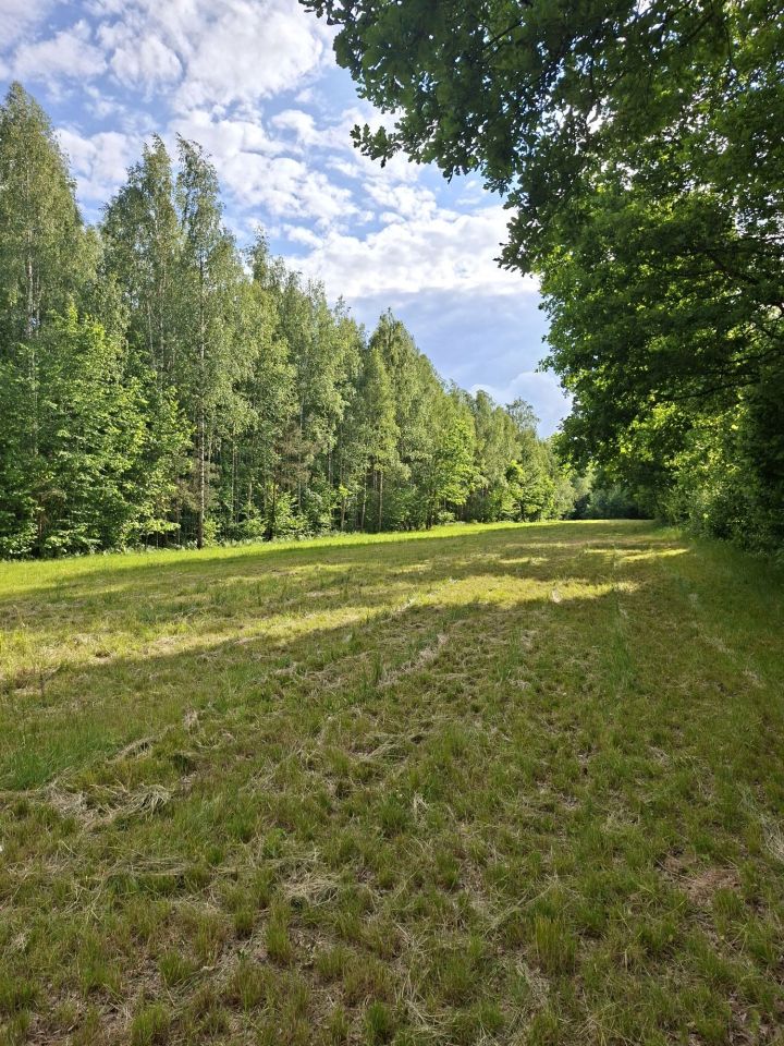 Działka rolna Zakanale. Zdjęcie 4