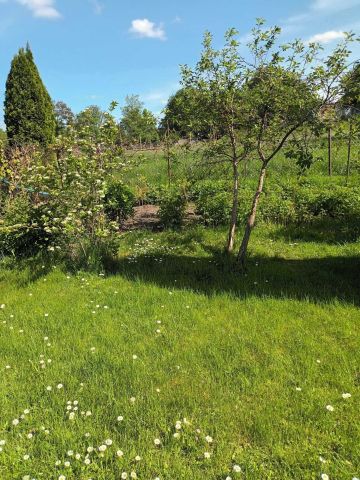 Działka rod Szczytno, ul. Jana Kochanowskiego. Zdjęcie 1