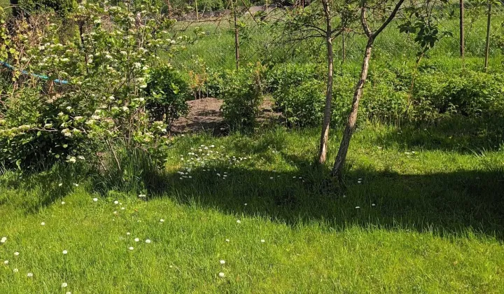 Działka rod Szczytno, ul. Jana Kochanowskiego