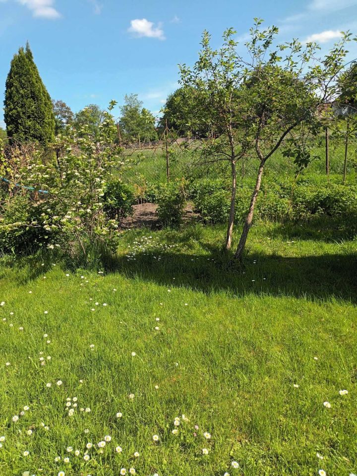 Działka rod Szczytno, ul. Jana Kochanowskiego