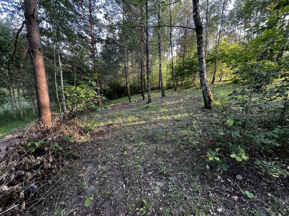 Działka rekreacyjna Kiełpiny. Zdjęcie 7