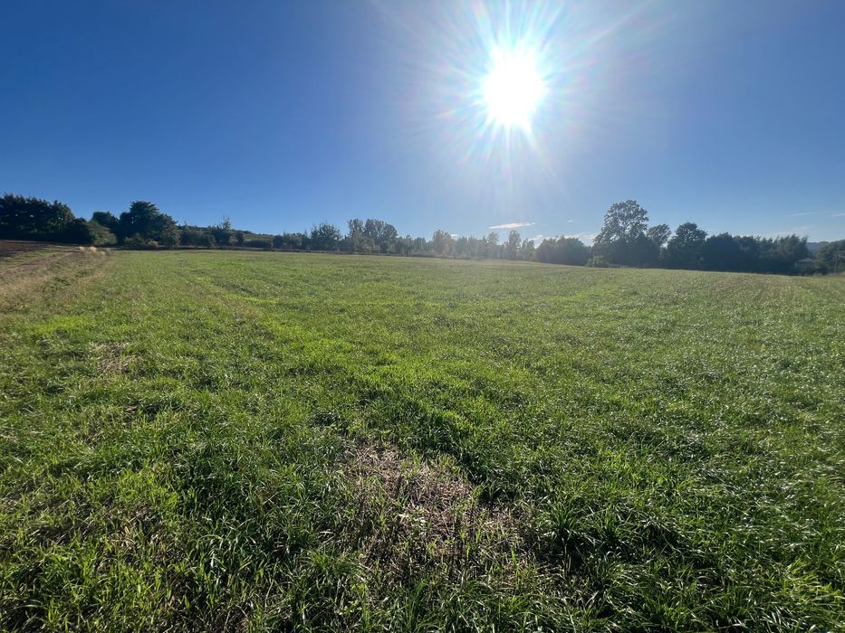 Działka budowlana Szeligi. Zdjęcie 3