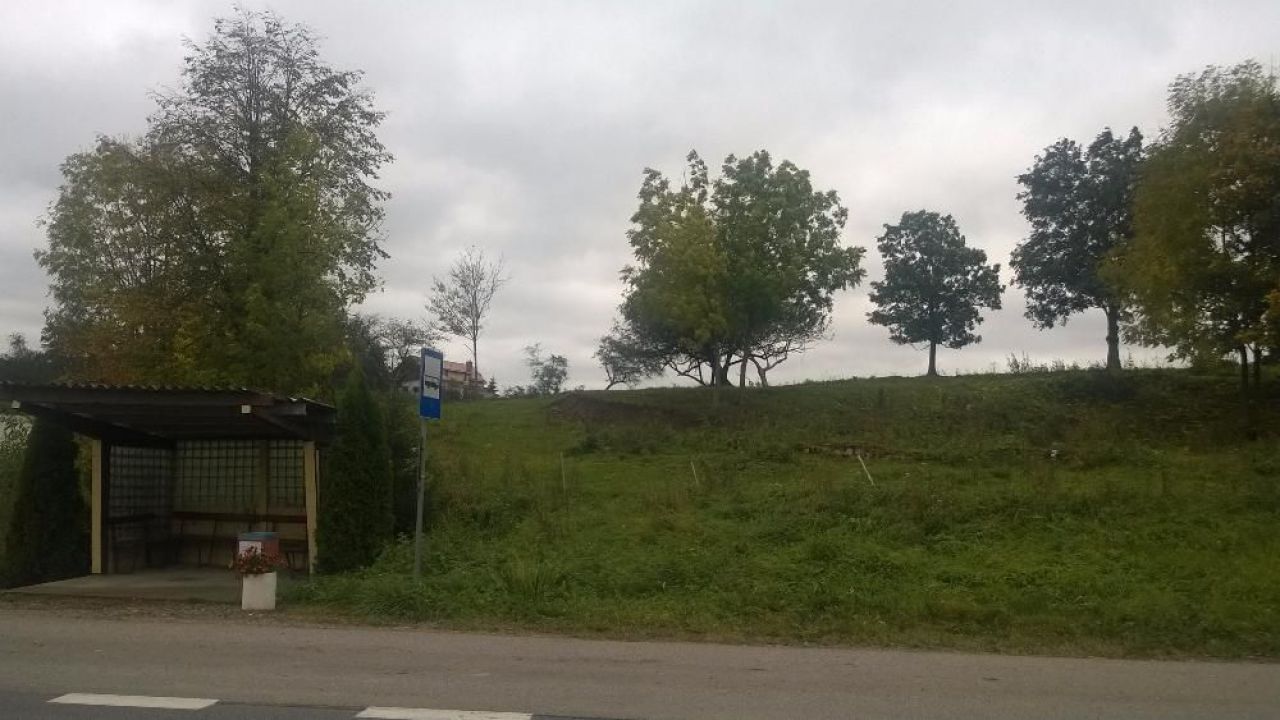 Działka siedliskowa Minty. Zdjęcie 2