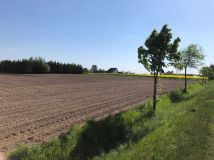 Działka inwestycyjna Podpniewki. Zdjęcie 3