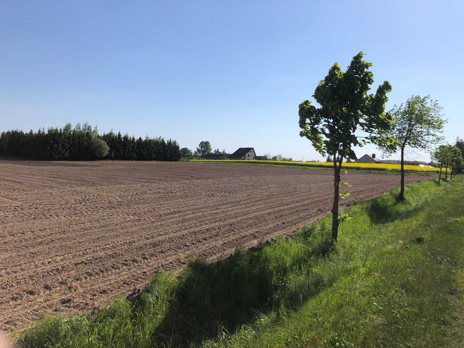 Działka inwestycyjna Podpniewki. Zdjęcie 4