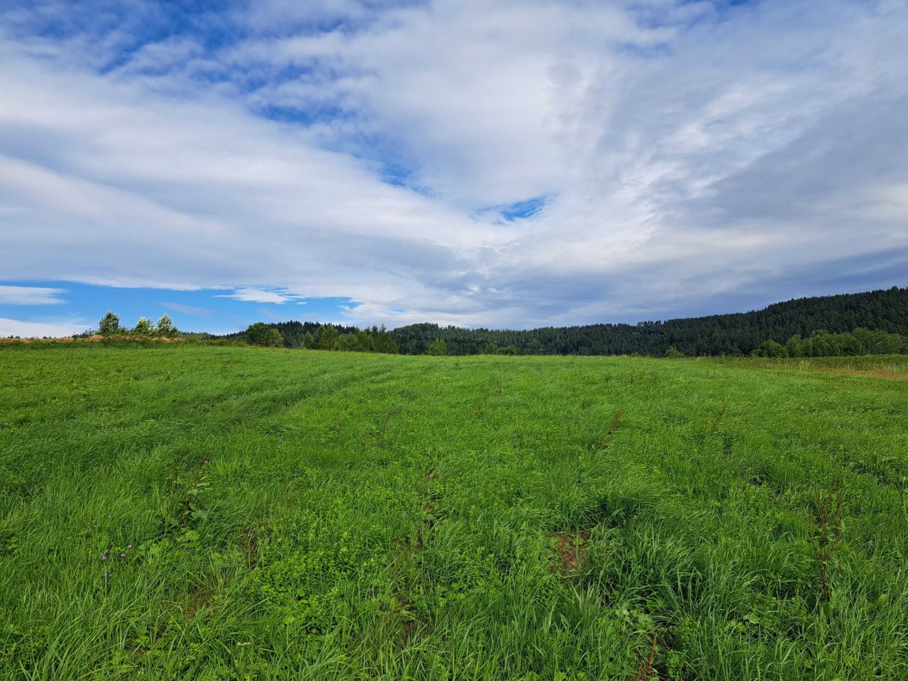 Działka budowlana Bukowiec. Zdjęcie 6