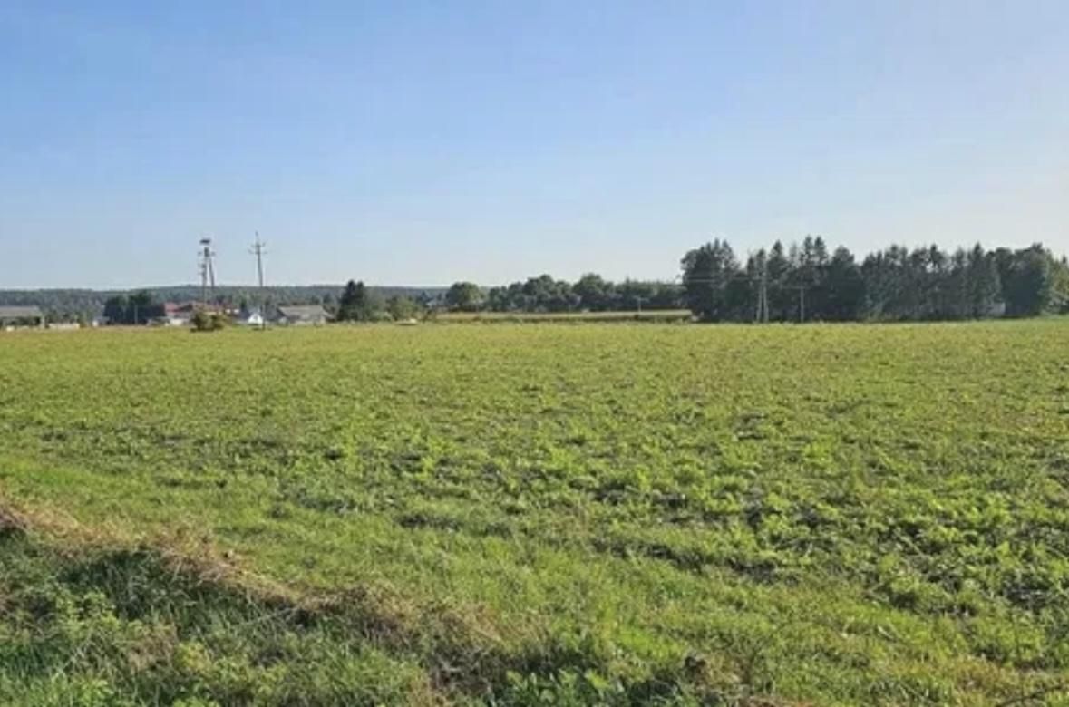 Działka inwestycyjna Rudnik Szlachecki. Zdjęcie 2