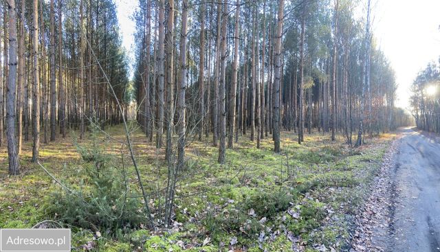 Działka rolno-budowlana Olszynki. Zdjęcie 1