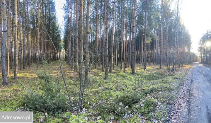 Działka rolno-budowlana Olszynki