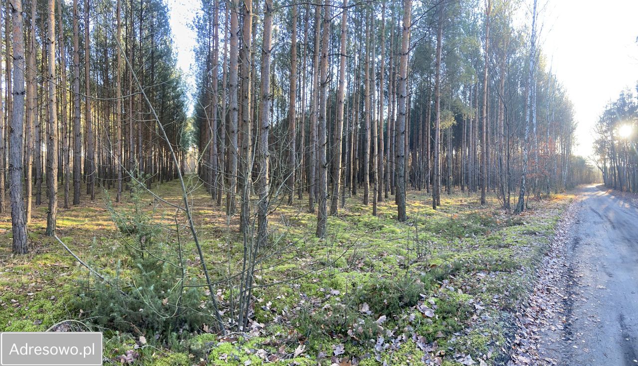 Działka rolno-budowlana Olszynki