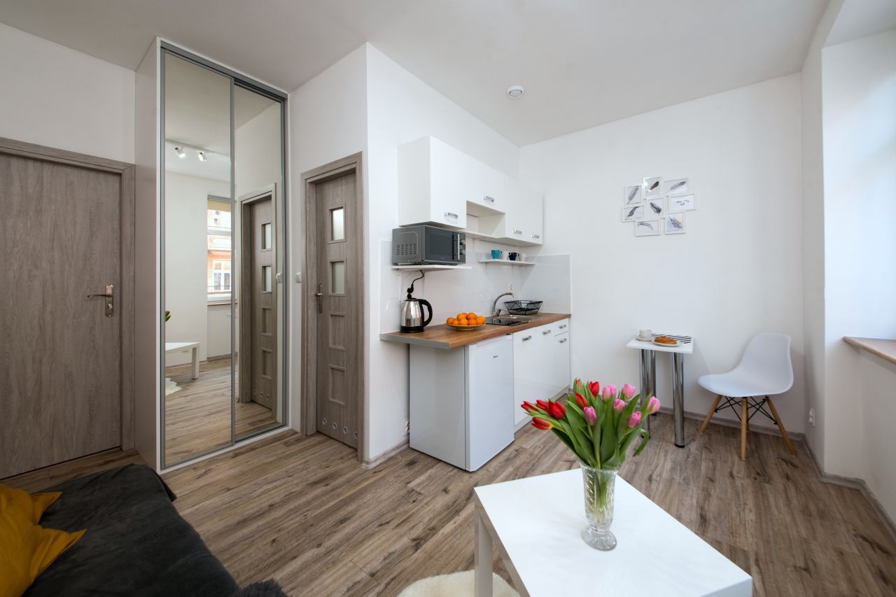 Mieszkanie 1-pokojowe Poznań Wilda, ul. 28 Czerwca 1956 r.. Zdjęcie 1