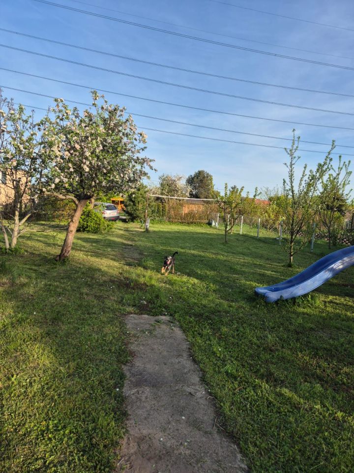 Działka rod Gdańsk Olszynka. Zdjęcie 5