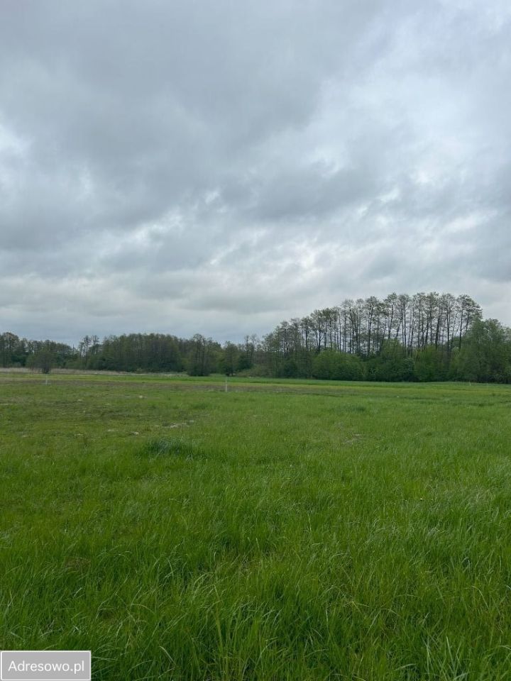 Działka budowlana Dzbanice. Zdjęcie 3