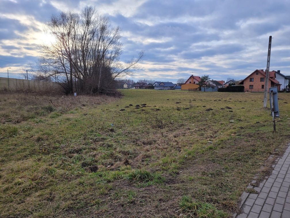 Działka rolno-budowlana Chrzęsne. Zdjęcie 5