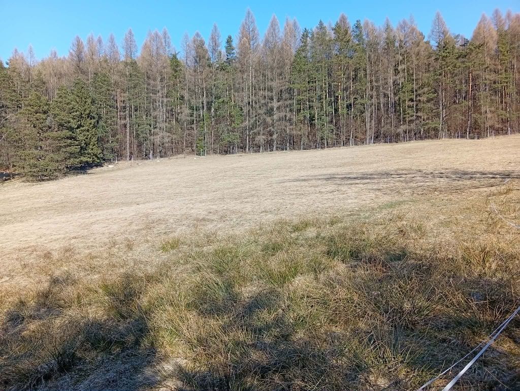 Działka rolna Izby. Zdjęcie 1