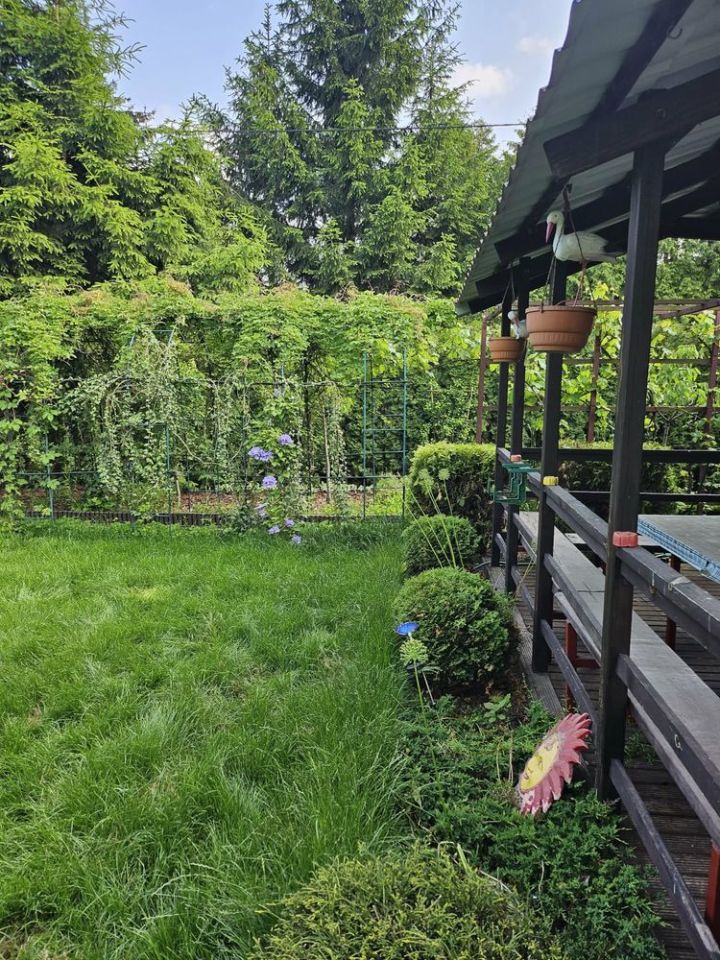 Działka rod Toruń. Zdjęcie 2