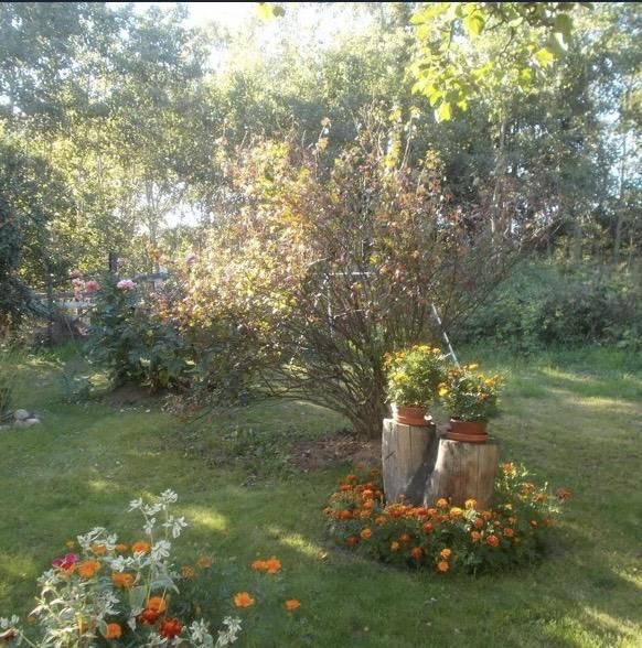 bliźniak, 4 pokoje Torzym, ul. Kolonia Saperska. Zdjęcie 14