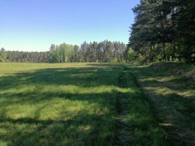 Działka rolno-budowlana Kątno. Zdjęcie 1