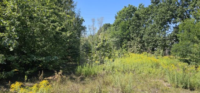 Działka budowlana Żółwin. Zdjęcie 5