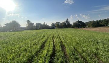 Działka siedliskowa Imielno