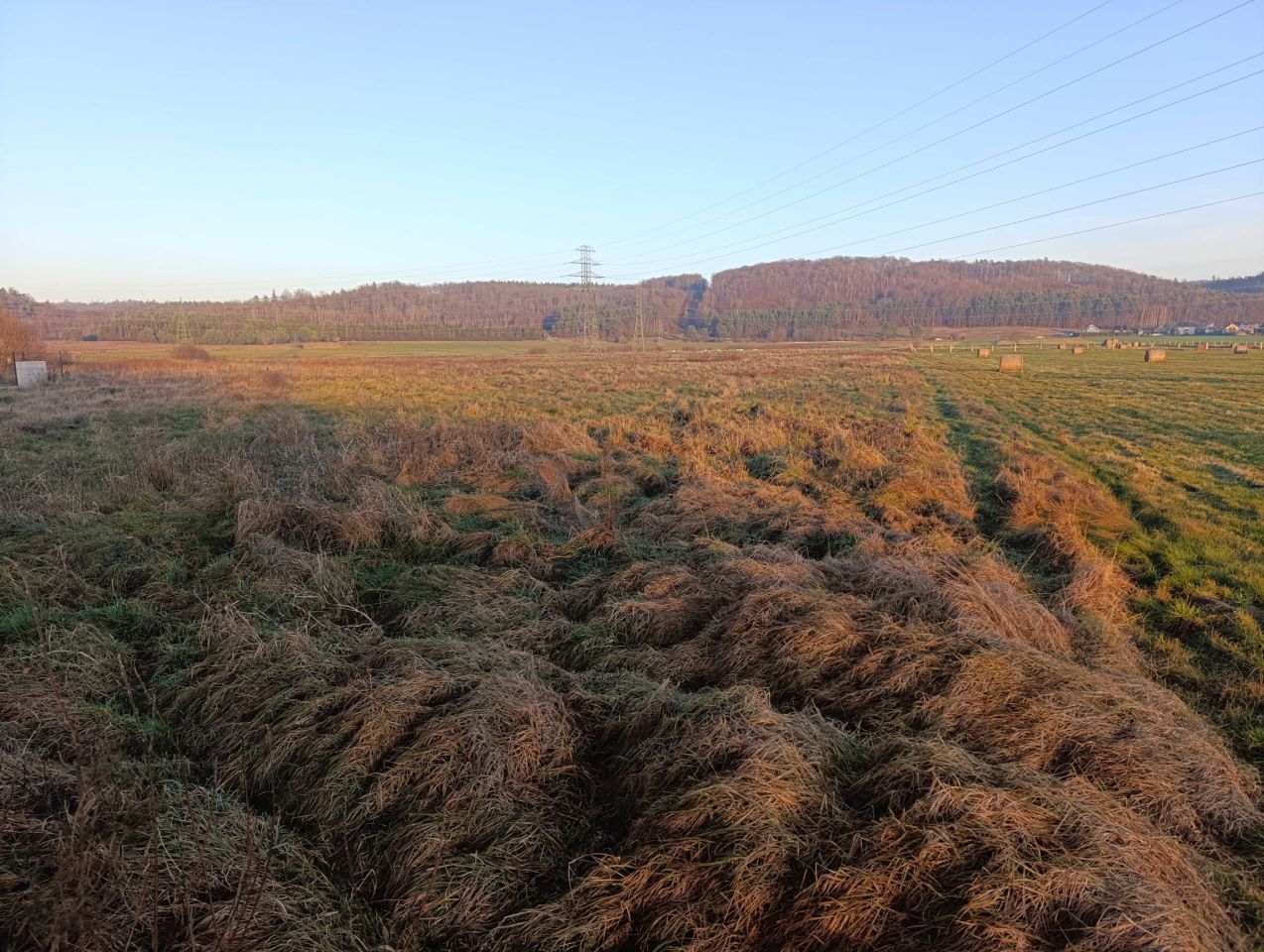 Działka rolna Tyłowo. Zdjęcie 4