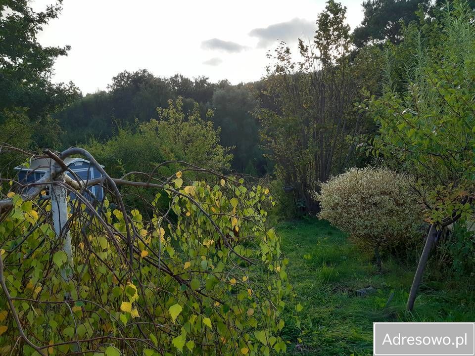 Działka rod Gdańsk Morena. Zdjęcie 9