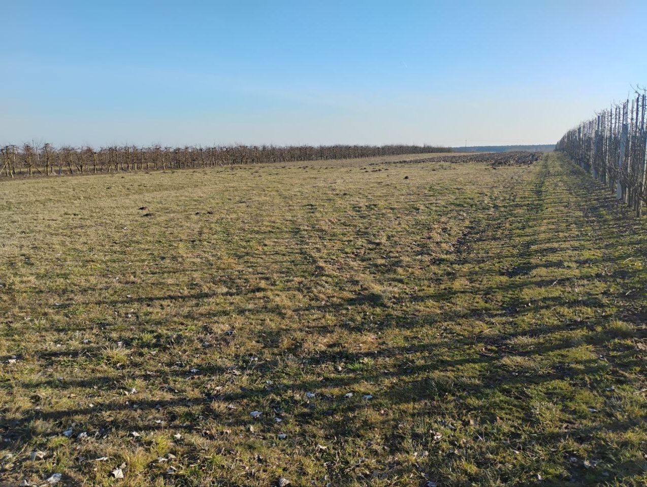 Działka rolna Ruszcza-Płaszczyzna, Ruszcza Płaszczyzna. Zdjęcie 2