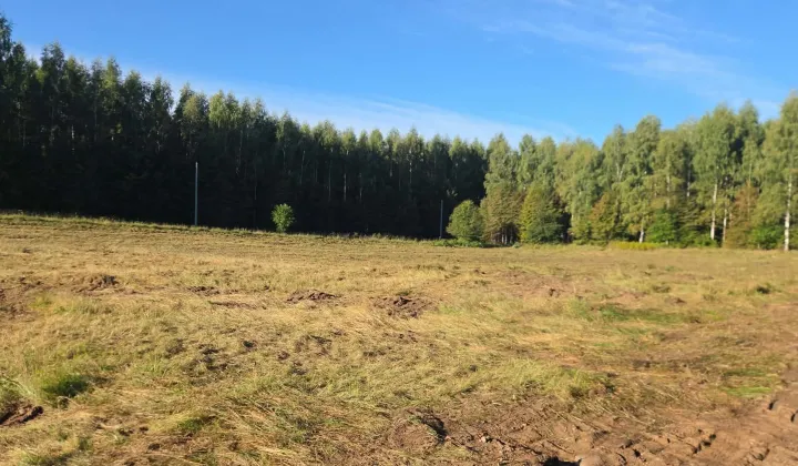 Działka budowlana Żabi Róg, Żabi Róg