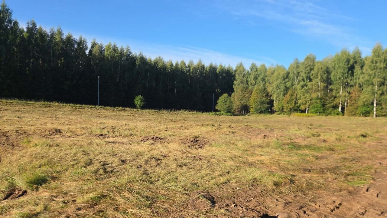 Działka budowlana Żabi Róg, Żabi Róg. Zdjęcie 1
