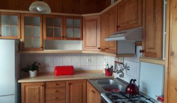 dom wolnostojący, 5 pokoi Działdowo, ul. Artura Grottgera 8