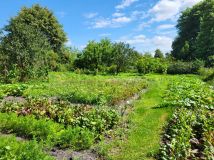 Działka budowlana Chełm, ul. Metalowa. Zdjęcie 4