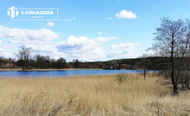 Działka rolna Dziki. Zdjęcie 8