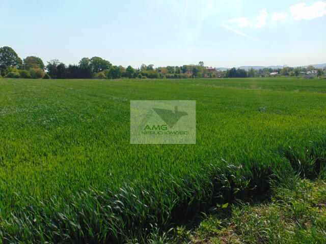 Działka rolno-budowlana Kiełczyn. Zdjęcie 4