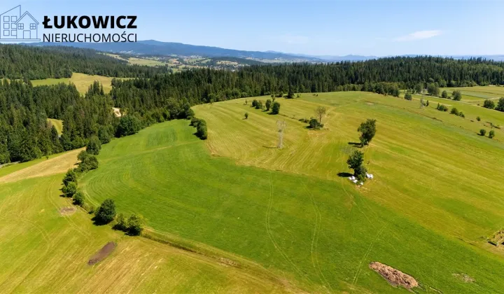 Działka leśna Pieniążkowice