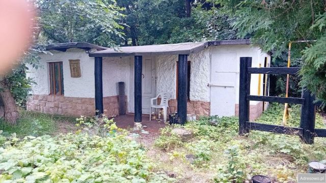 Działka rod Poznań Wilda, ul. Droga Dębińska. Zdjęcie 1