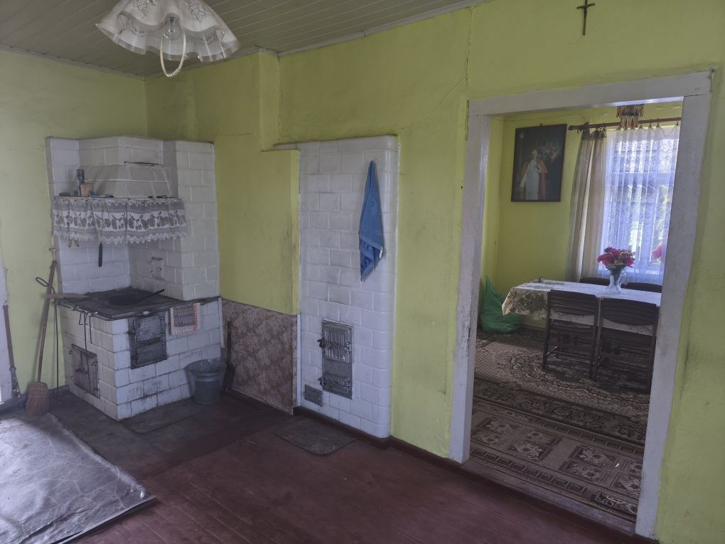 gospodarstwo Ściony. Zdjęcie 8