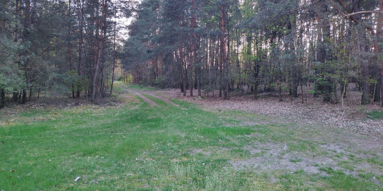 Działka inwestycyjna Jeruzal, ul. Szkolna. Zdjęcie 3