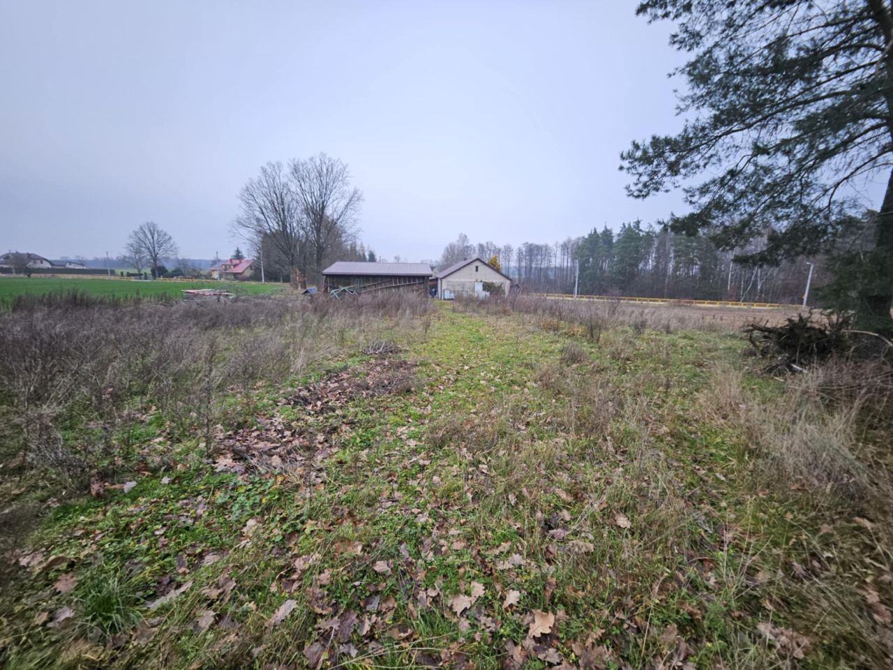 Działka rolno-budowlana Wiechetki Małe. Zdjęcie 5