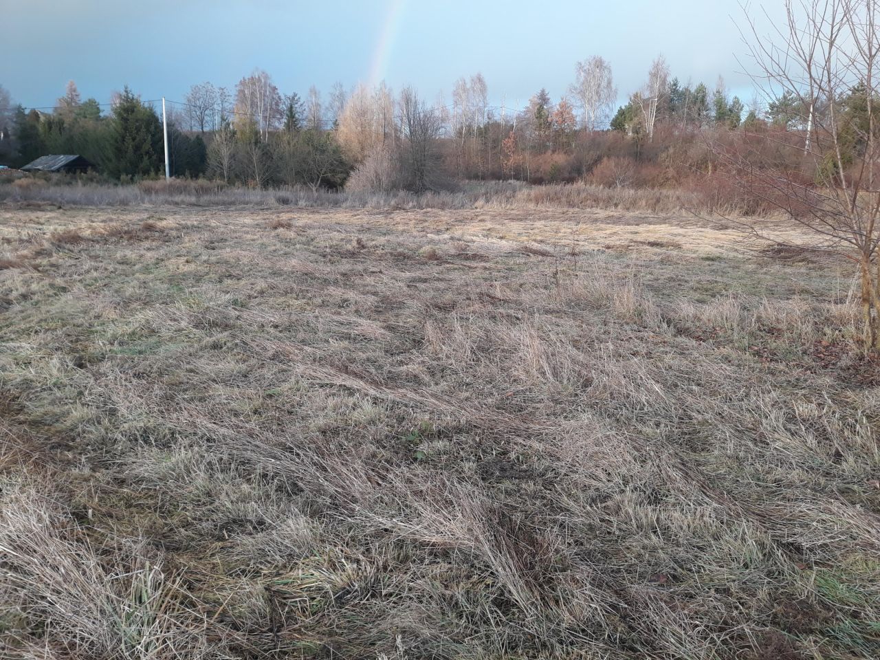 Działka rolno-budowlana Iwiny, ---. Zdjęcie 3
