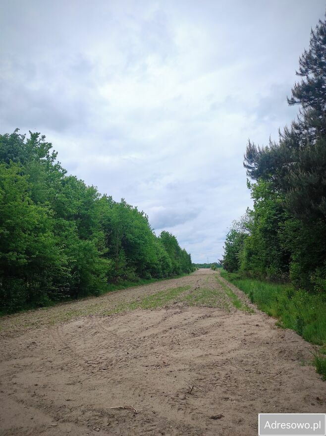 Działka budowlana Izbiska. Zdjęcie 4